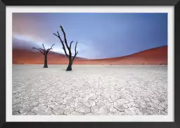 Namibie, le deadvlei - tableau paysage desert