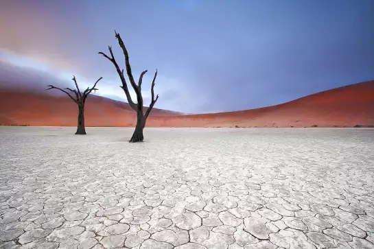 Namibie, le deadvlei - tableau paysage desert