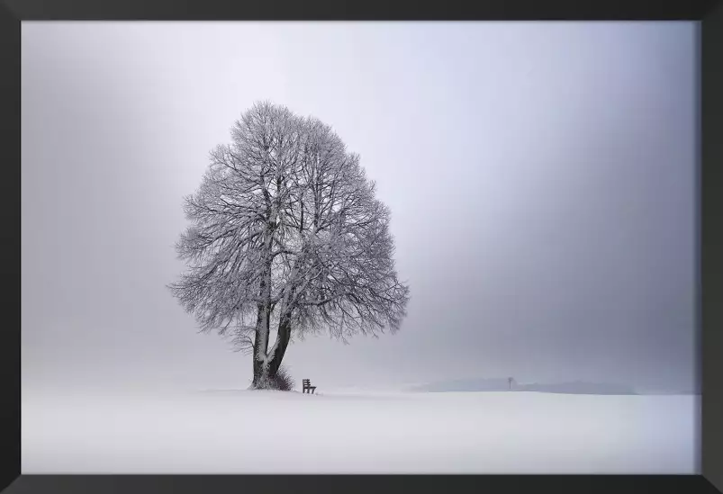 Lumière d' hiver - tableau arbre