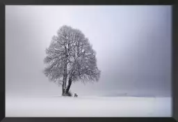 Lumière d' hiver - tableau arbre