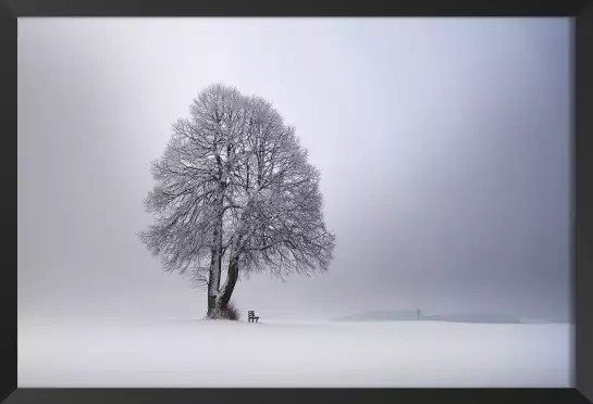 Lumière d' hiver - tableau arbre