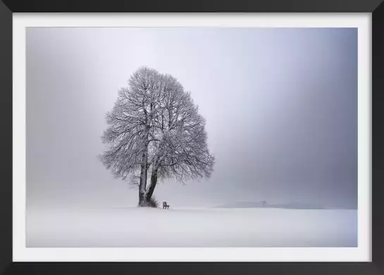 Lumière d' hiver - tableau arbre