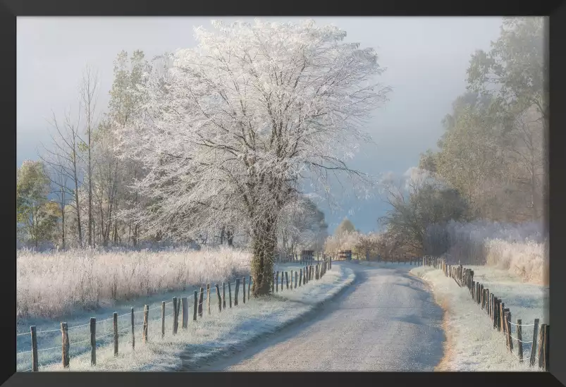 Un matin glacial - paysage hiver