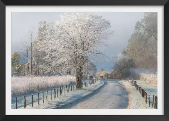 Un matin glacial - paysage hiver