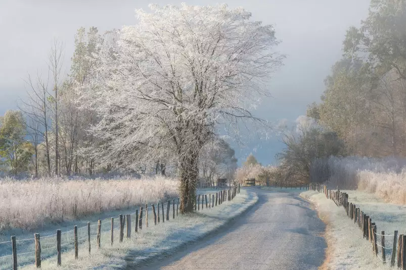 Un matin glacial - paysage hiver