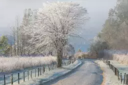 Un matin glacial - paysage hiver