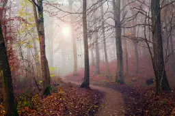 Feuilles rouge - tableau foret