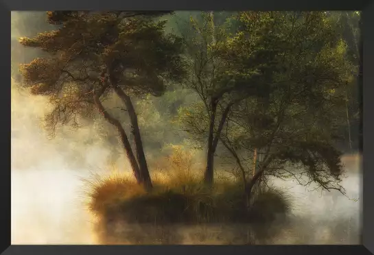 Ilôt d'automne - tableau foret