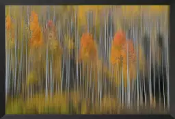 Impression d'automne - tableau foret