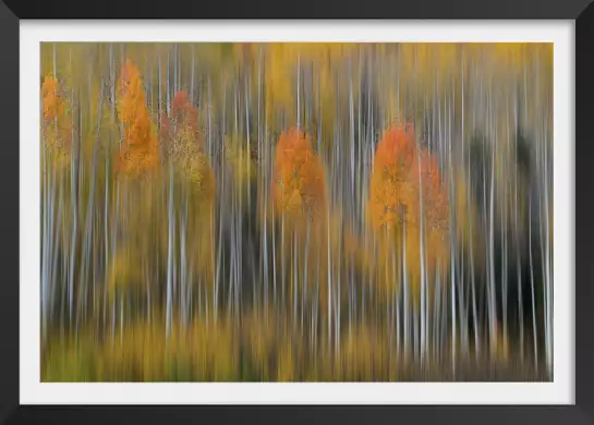 Impression d'automne - tableau foret