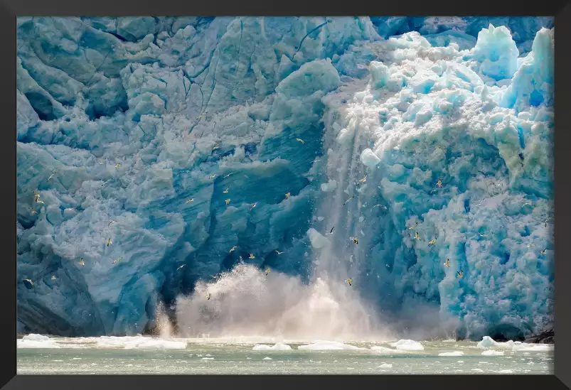 Fonte glacière - affiches oiseaux