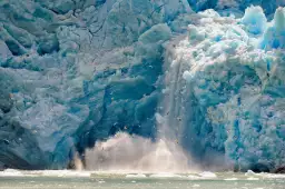 Fonte glacière - affiches oiseaux