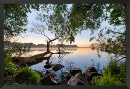 Bord de lac - tableau foret