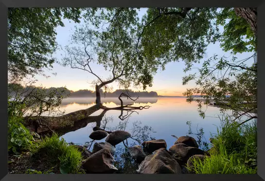 Bord de lac - tableau foret