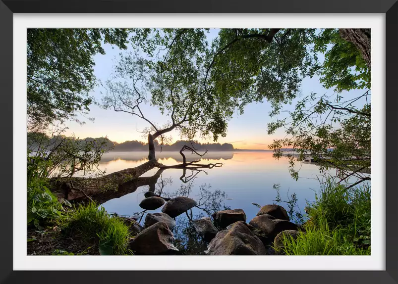 Bord de lac - tableau foret