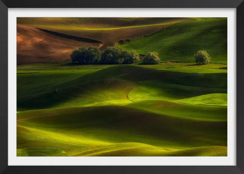 Colline usa - tableau paysage