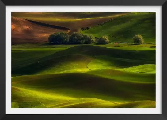 Colline usa - tableau paysage