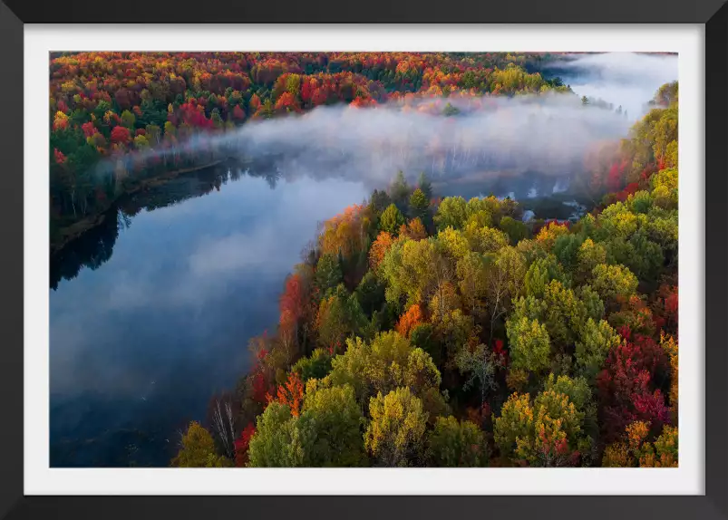 Forêt et symphonie d'automne - poster foret