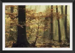 Feuilles - tableau foret