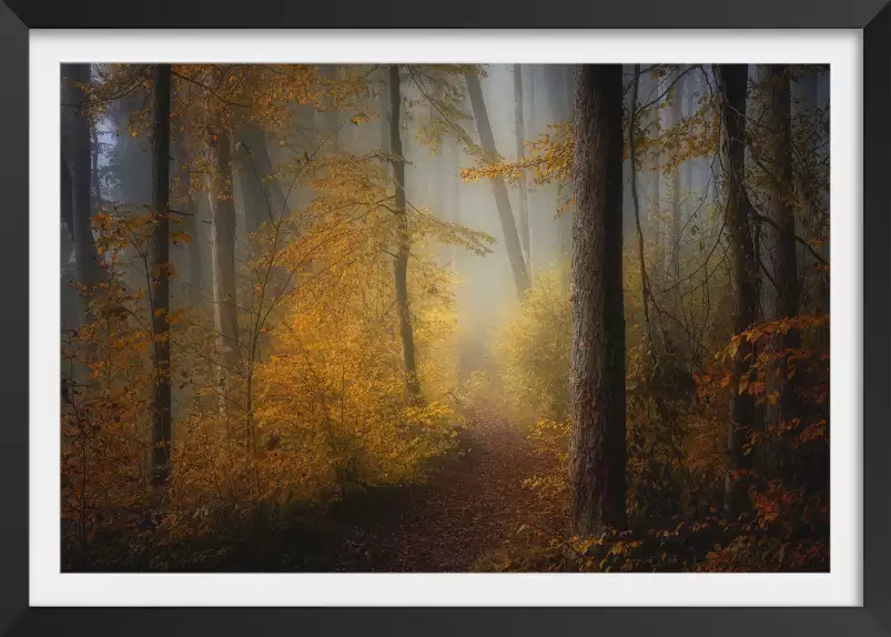 Debut d'automne - tableau foret