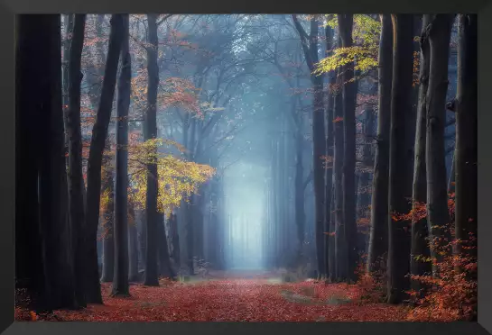 Lumière autumn - tableau foret