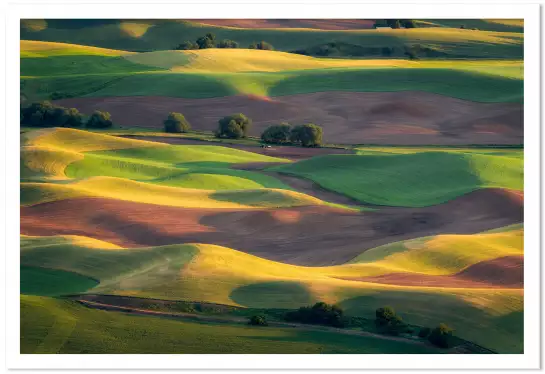 Colline colorée - tableau nature