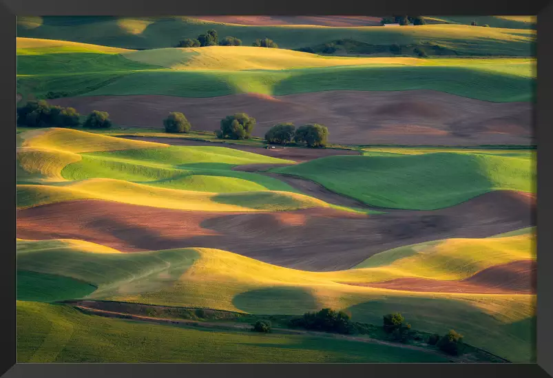 Colline colorée - tableau nature