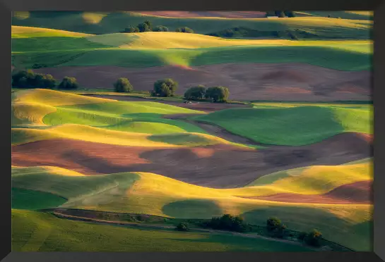 Colline colorée - tableau nature