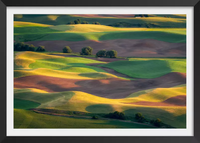 Colline colorée - tableau nature