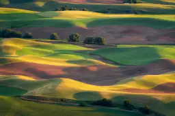 Colline colorée - tableau nature