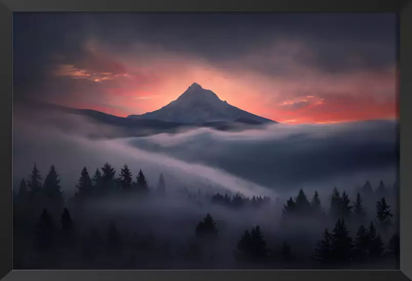 Brume en oregon - paysage montagne