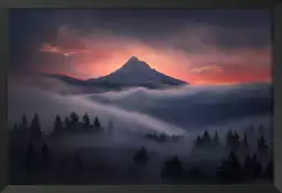 Brume en oregon - paysage montagne