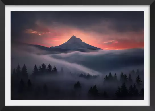 Brume en oregon - paysage montagne