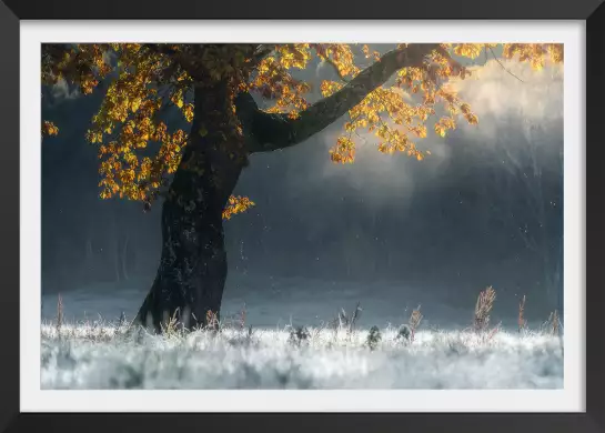 Souffle d'hiver - tableau foret