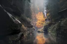 Vallée suisse en automne - tableau foret