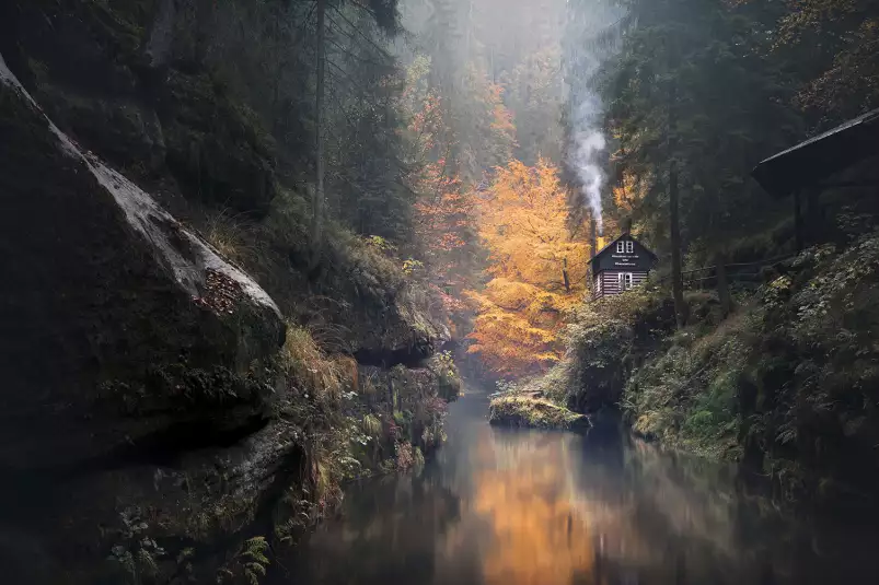 Vallée suisse en automne - tableau foret