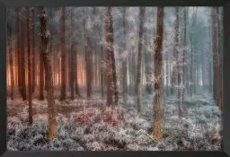 De glace et de feu - tableau foret