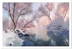 Chrismas lac - paysage hiver