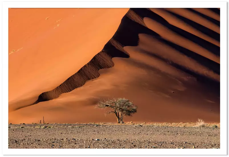 Namibie, l'arbre sur la dune - tableau paysage desert