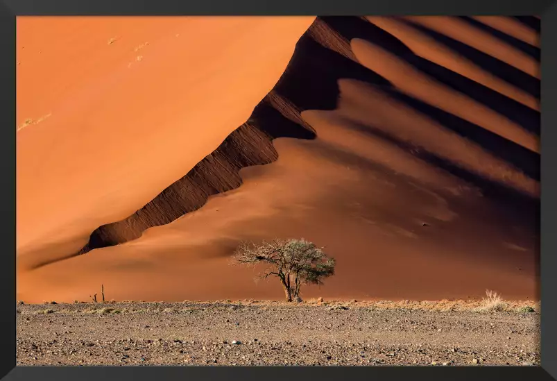 Namibie, l'arbre sur la dune - tableau paysage desert