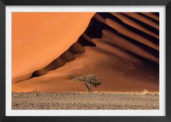 Namibie, l'arbre sur la dune - tableau paysage desert