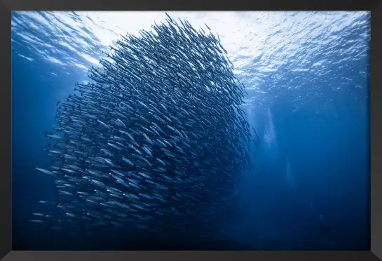 Masse bleue - tableau animaux marins