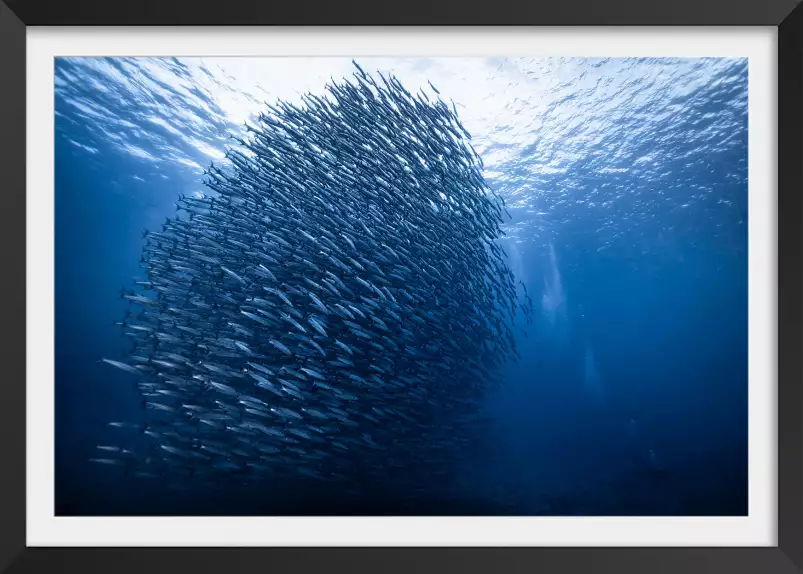 Masse bleue - tableau animaux marins