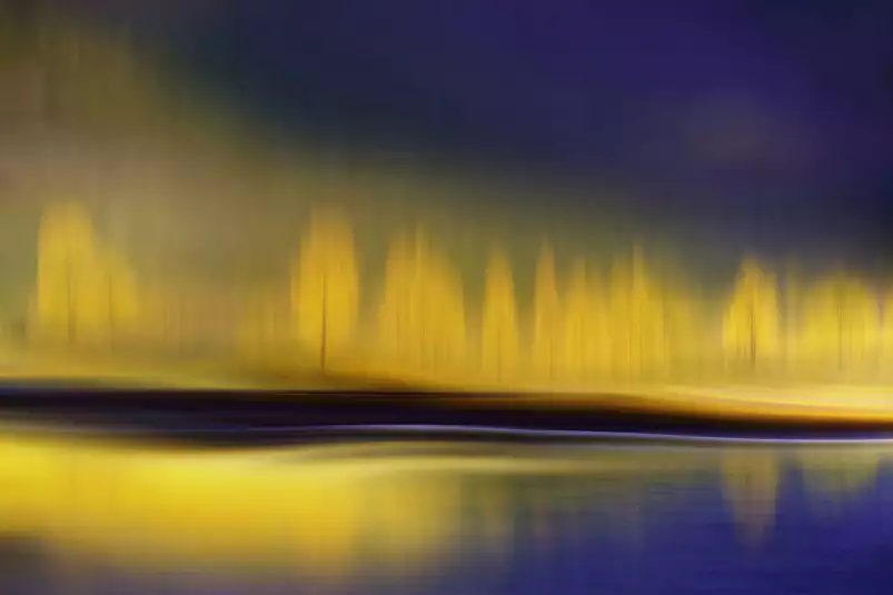 La nuit jaune - tableau paysage nature