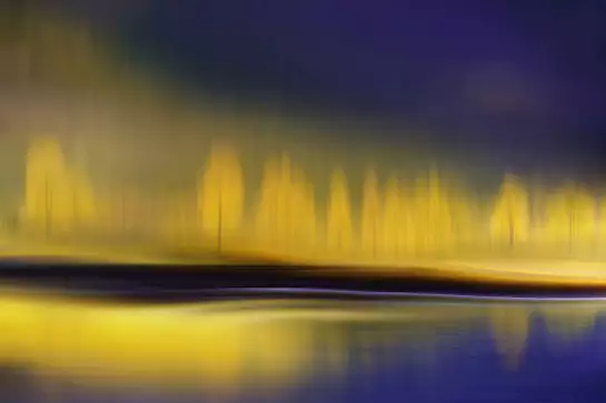 La nuit jaune - tableau paysage nature