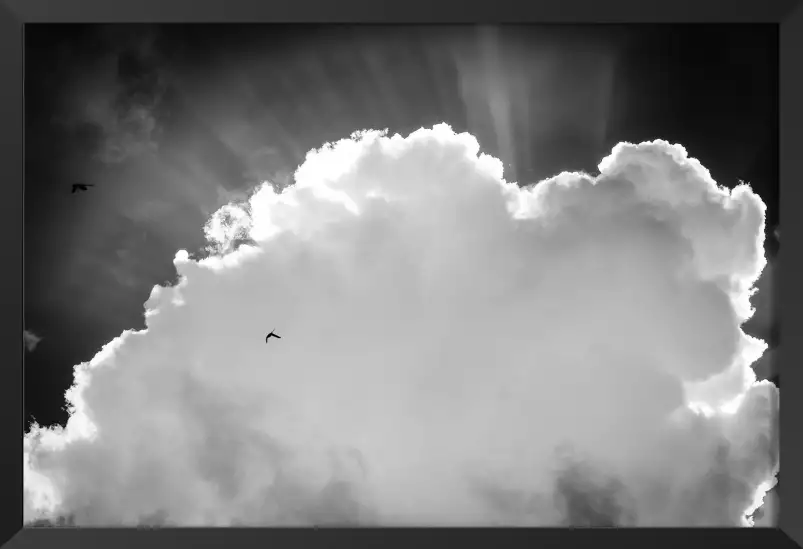 Nuage blanc - affiche du ciel