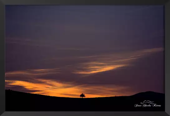 Horizon tree - tableau montagne