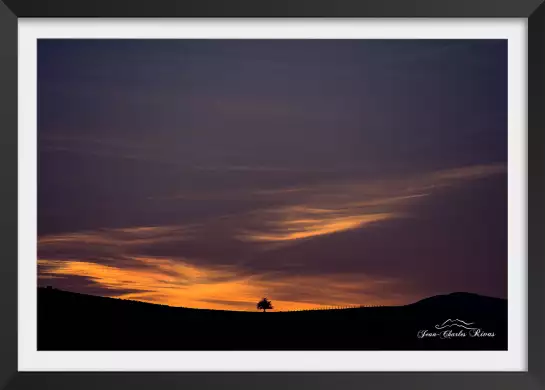 Horizon tree - tableau montagne