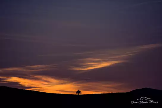 Horizon tree - tableau montagne