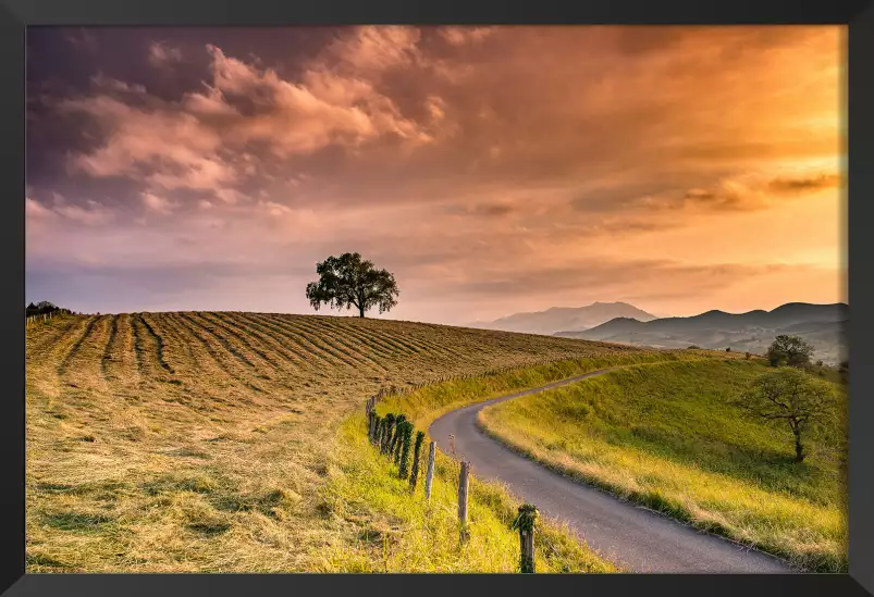 Chemin des basques - tableau paysage nature